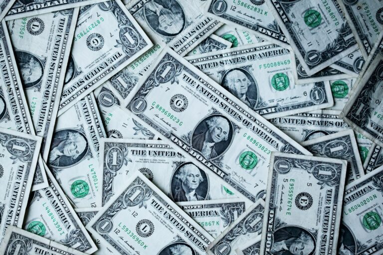 Lisa Westerveld: biografie, werk en privéleven