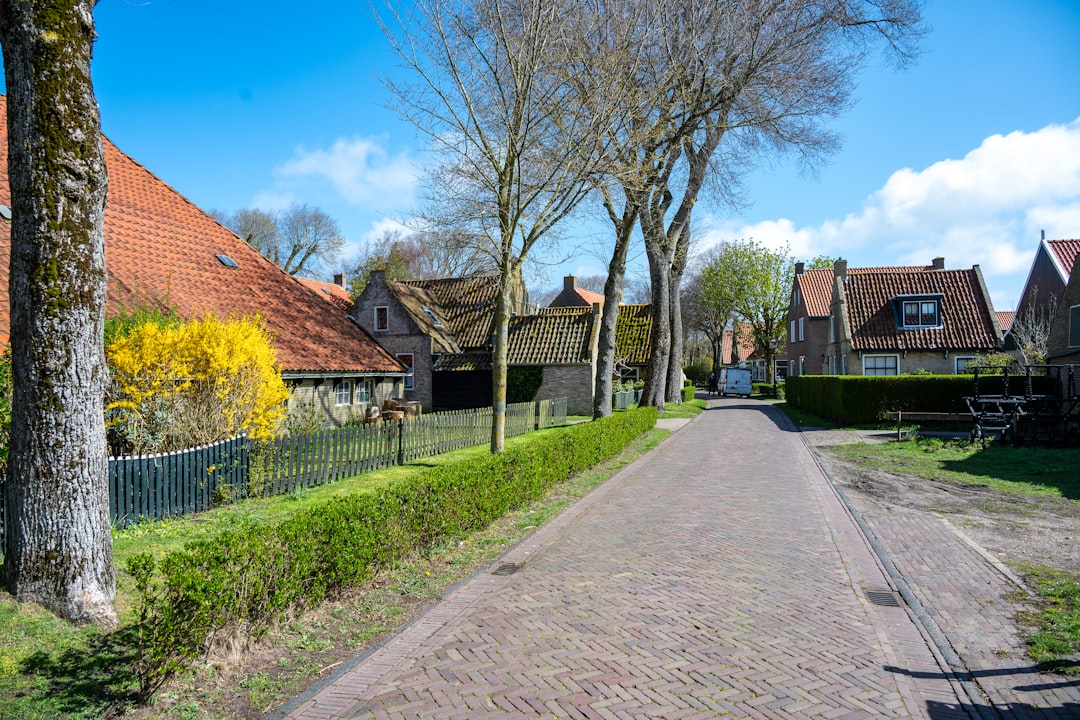 Rustige dorpsstraat met oude huizen en bomen op een zonnige dag